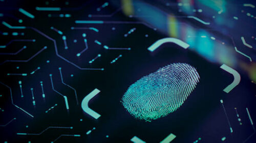 A digital fingerprint